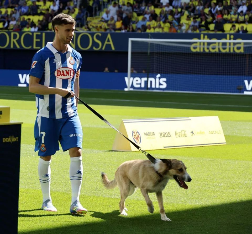 爱游戏下载-巴萨客场挑战比利亚雷亚尔，能否全身而退？的简单介绍