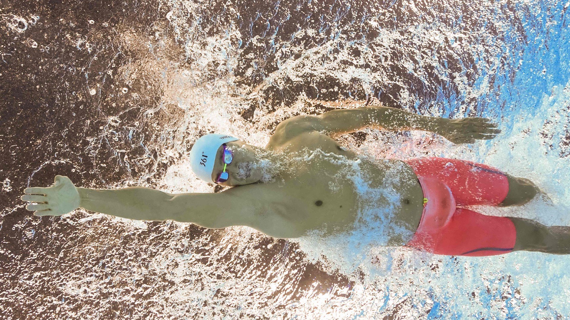 巴黎之夜的东方风暴,张本智和率波兰队碾压法国,重塑欧洲乒坛格局